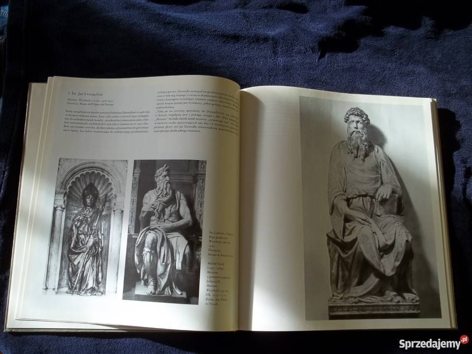 DONATELLO Hannelore Sachs sztuka i architektura Łódź