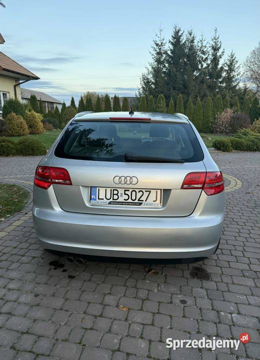 Audi a3 8p 20tdi 170 Niedrzwica Duża