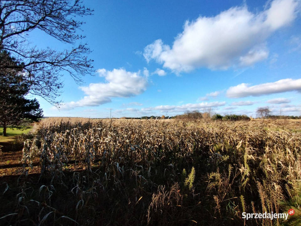 Dom wolnostojący 80m2 Hruszów