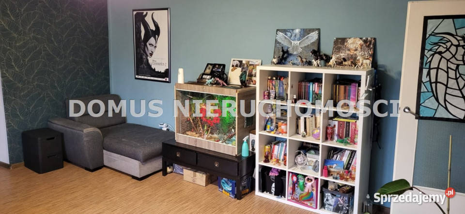 Mieszkanie Piotrków Trybunalski 4167m2 Rok budowy 1965 łódzkie