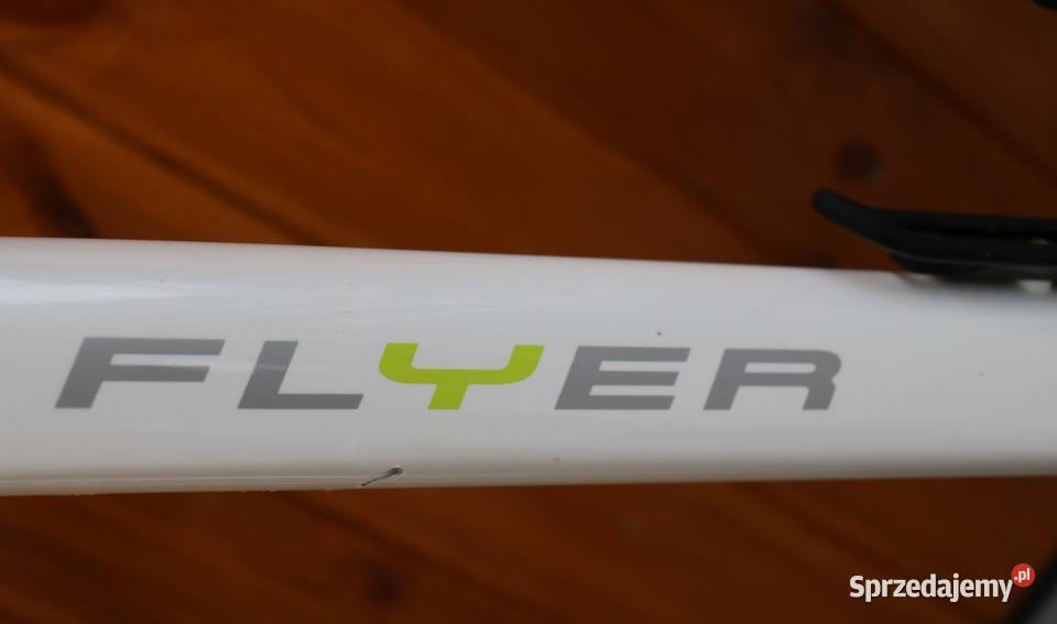 Rower elektryczny Flyer D 45 45 h sprzedam