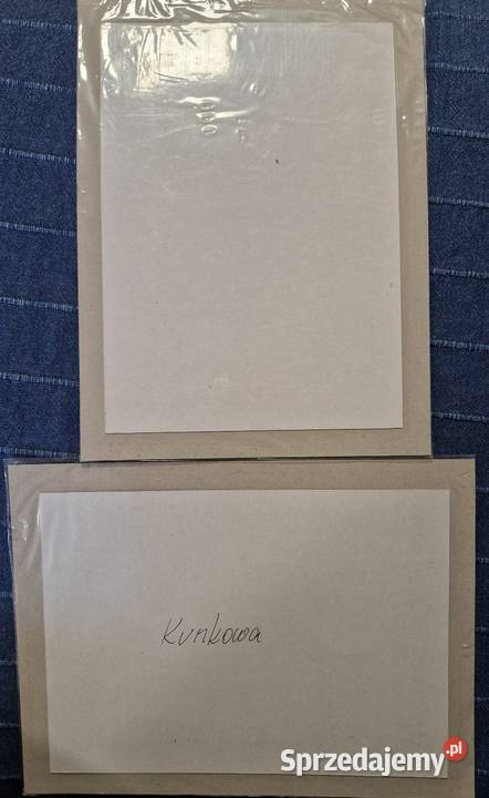 Komplet dwóch OBRAZÓWRYSUNKÓW Andrzeja Piszczka Lublin