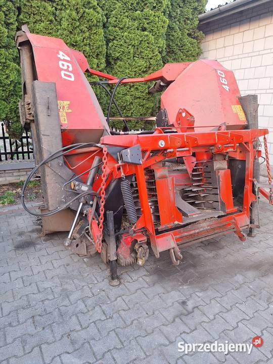 Sprzedam kemper Gołoniwy