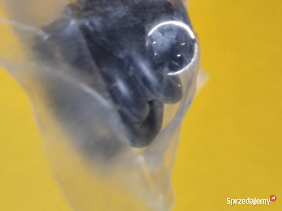 kabel z okrągłym złączem do komputera laptopa Kielce