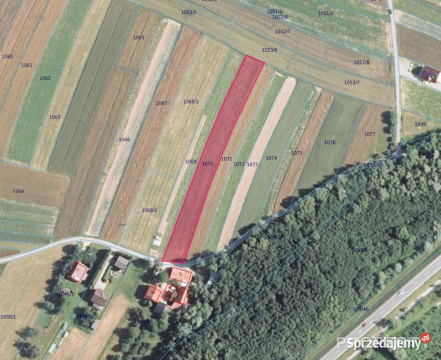Sprzedam działka Podegrodzie 2700 metrów 174zł/m2