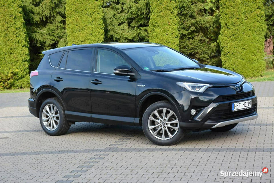 Toyota RAV4 Team Deutschland AWD Biled światła przeciwmgielne Ostrów Mazowiecka