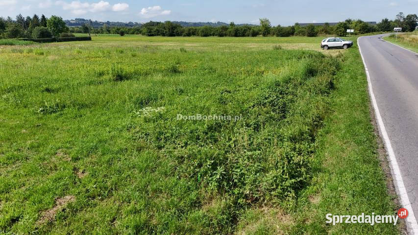 Działka 2500m2 Damienice