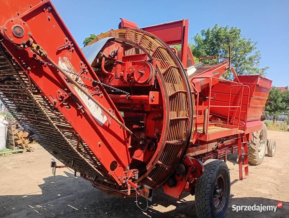 Kombajn do ziemniaków grimme 750 Marynowy