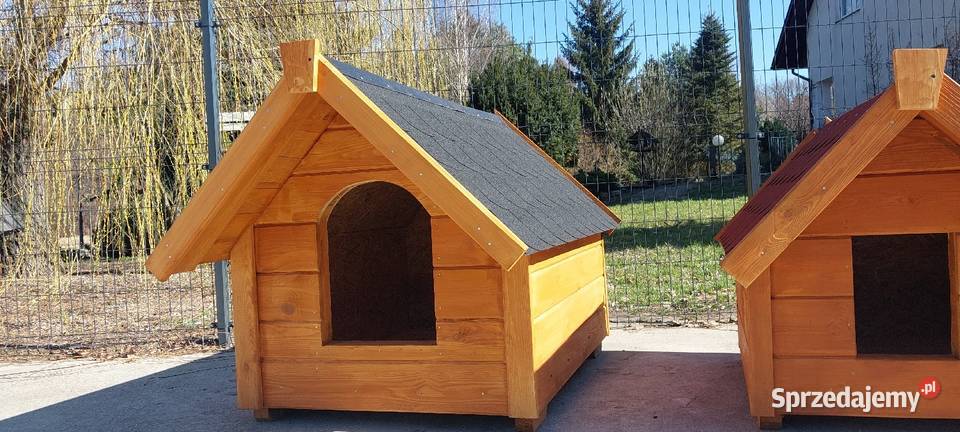 buda domek psa i psów łódzkie Ruda