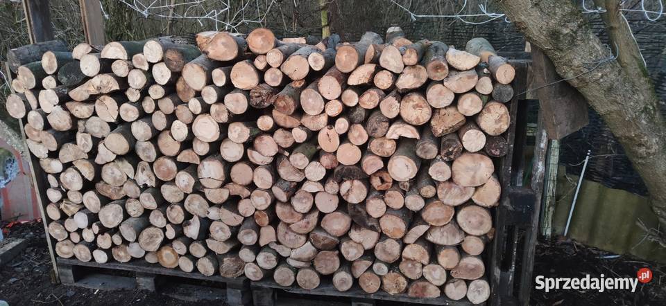 Drewno opałowe Szczecin
