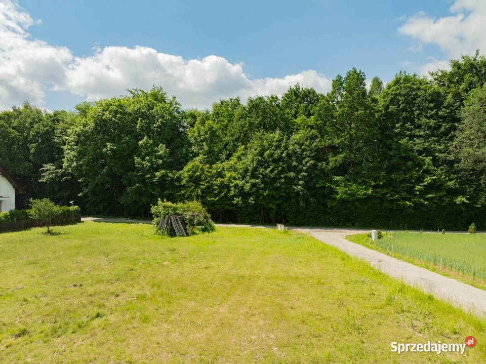 Ojcowski Park Narodowy uzbrojona 56 arowa działa 5600m2 Wielmoża