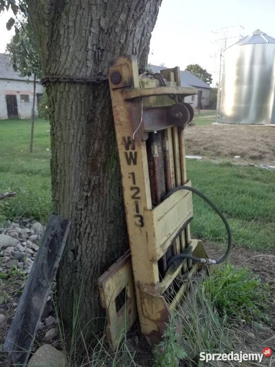 Maszt widlaka Borowa sprzedam