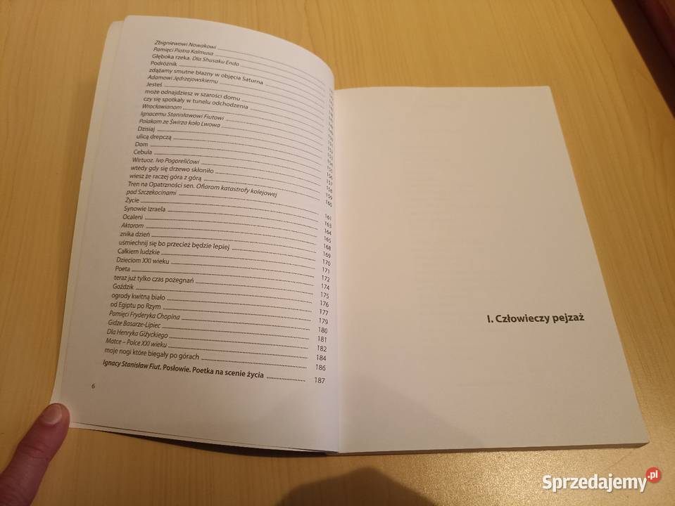 Hanna Wietrzny Z łyżką clowna los CD wyd Trivium sprzedam
