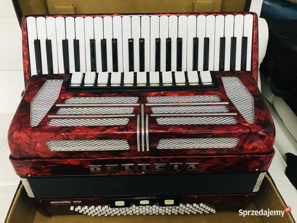 Akordeon Delicja Choral VI 120 basów super stan Będzin