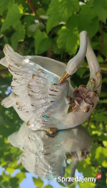 Osłonka Norcrest White Swan pełnoplastyczne Pabianice sprzedam