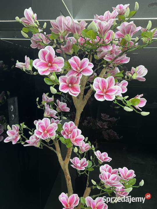 Sztuczne drzewko magnolii 180 małopolskie Golkowice sprzedam