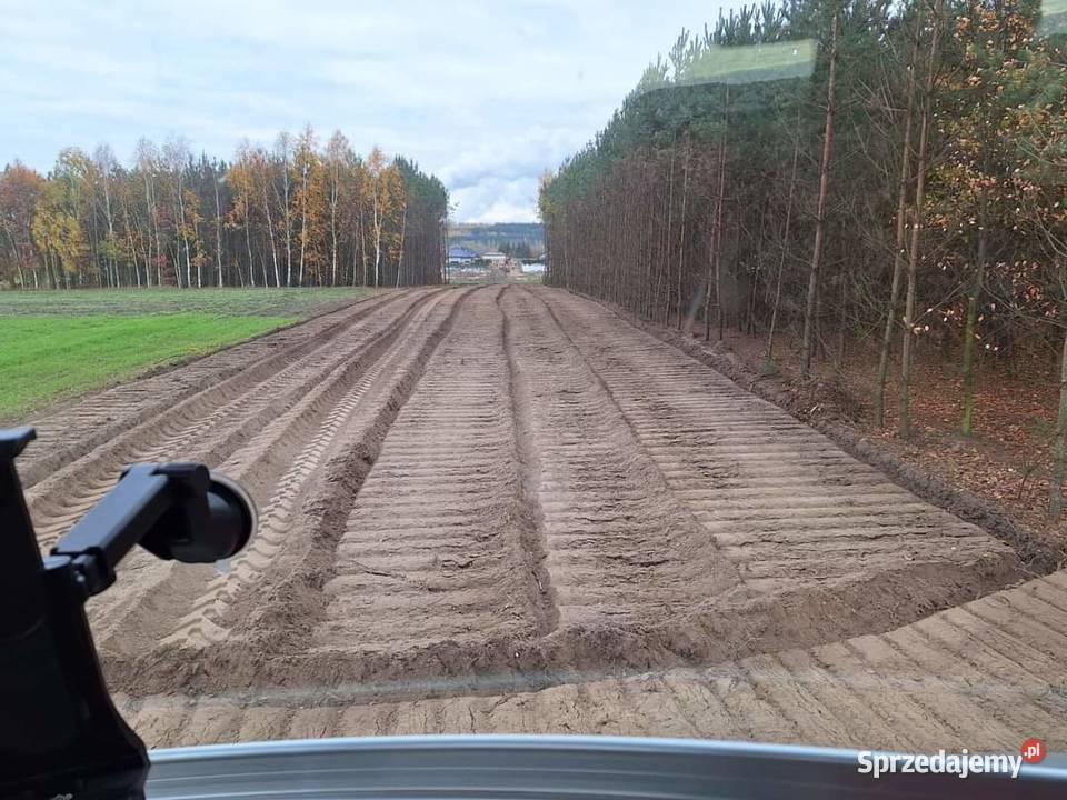 Wycinka drzew Czyszczenie działek Mulczowanie Tuszyn