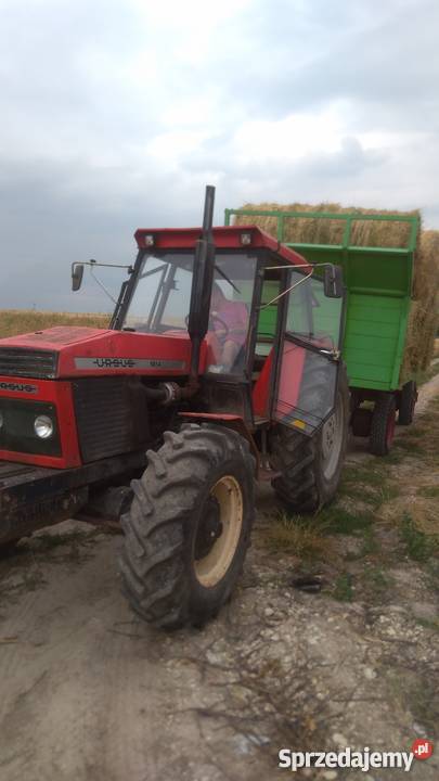 Sprzedam Ursus 1614Turbo szybka skrzynia Sędziszów