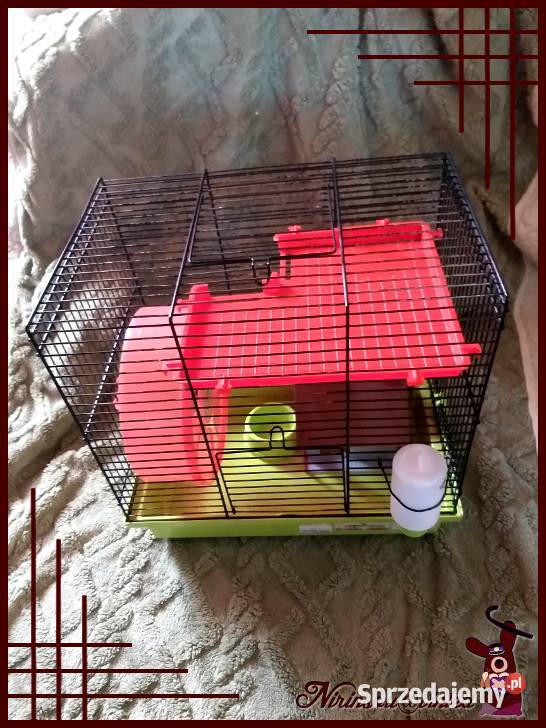 Karo klatka z wyposażeniem myszki 35x24x36 Ruda Śląska