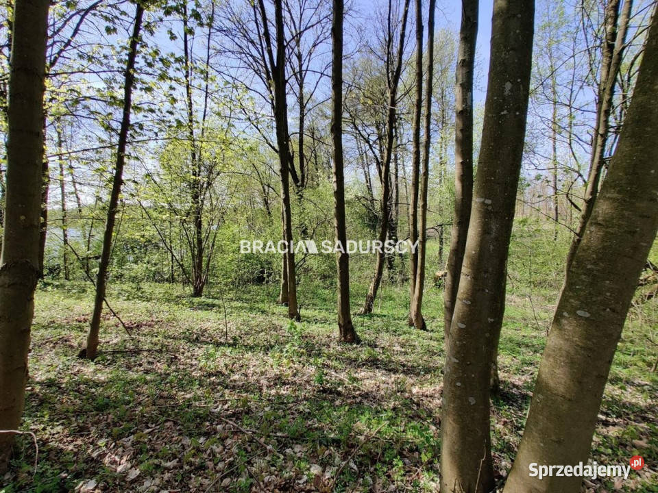 Grunt Łukta 22941m2