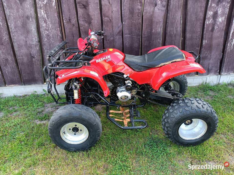 Sprzedam quada Bashan 250 nieuszkodzony Motoryzacja Parczew