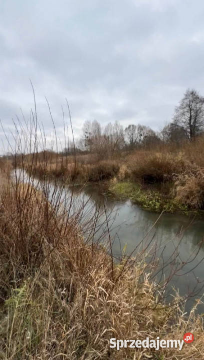 Siedlisko rzeką w wyjątkowej części Podlasia asfalt Lewkowo Stare