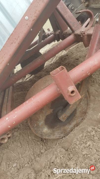 Sadzarka do mięty Rząśno sprzedam