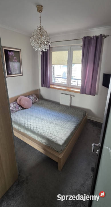 Do wynajęcia 42m2 Warszawa Targówek