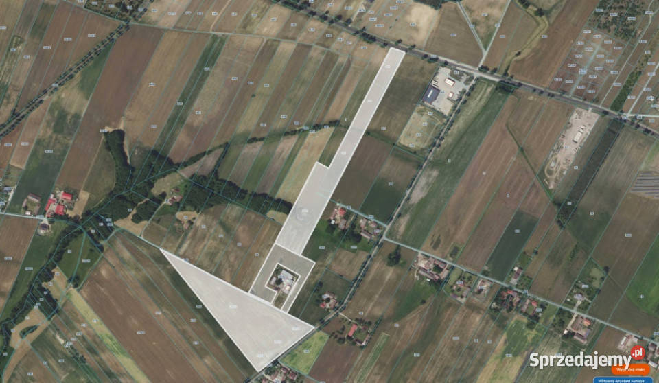 Wydzierżawię 8 ha Wrząca gm Gostynin 80000m2 mazowieckie