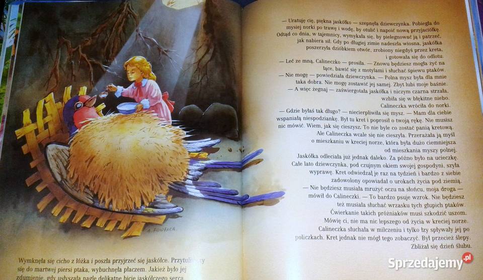 Najpiękniejsze baśnie Hans Christian Andersen Chełm