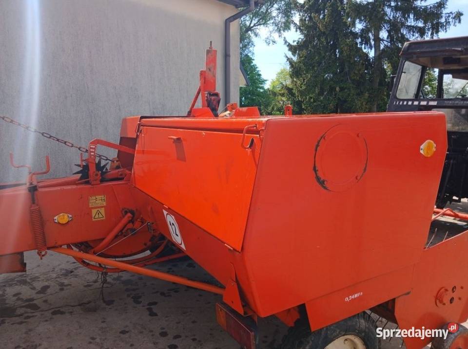 Prasa simpa Kazimierza Wielka