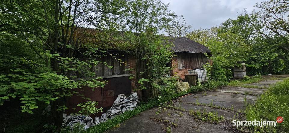 Działka zabudowana z sadem Zawichost