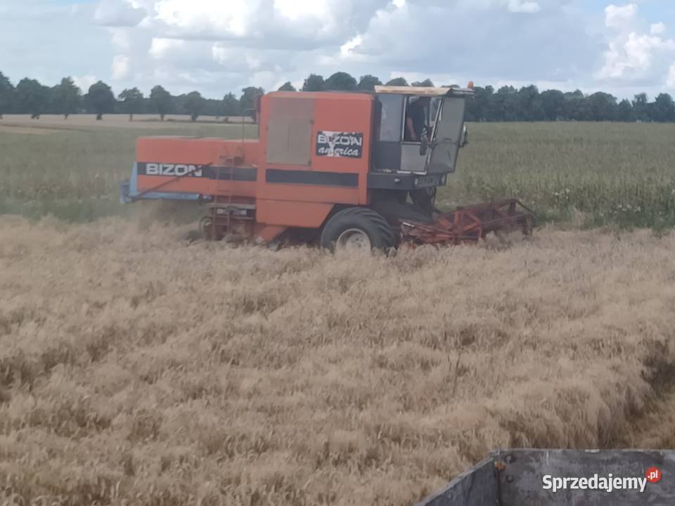 BIZON AMERICA z056 WEKSPORTOWA nieuszkodzony Kętrzyn