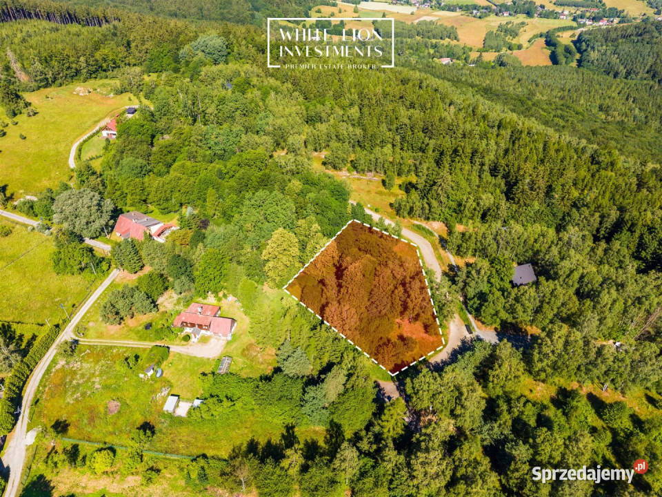 Działka Studzienno 3068m2 3068m2 Sprzedaż sprzedam