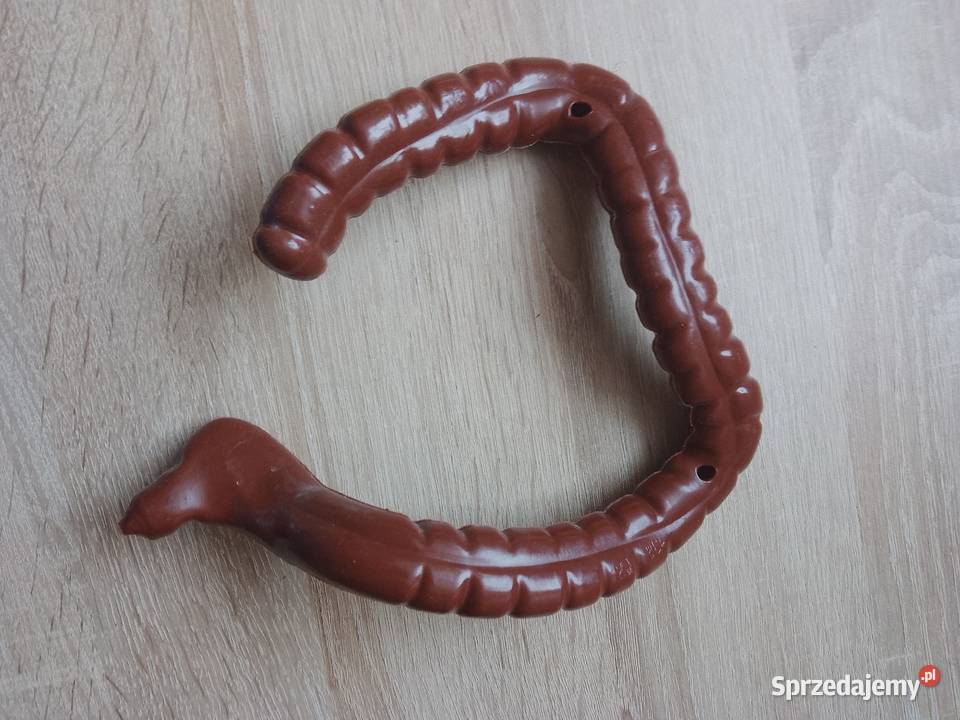 Jelito grube szkielet ciało człowieka National Chrzanów sprzedam