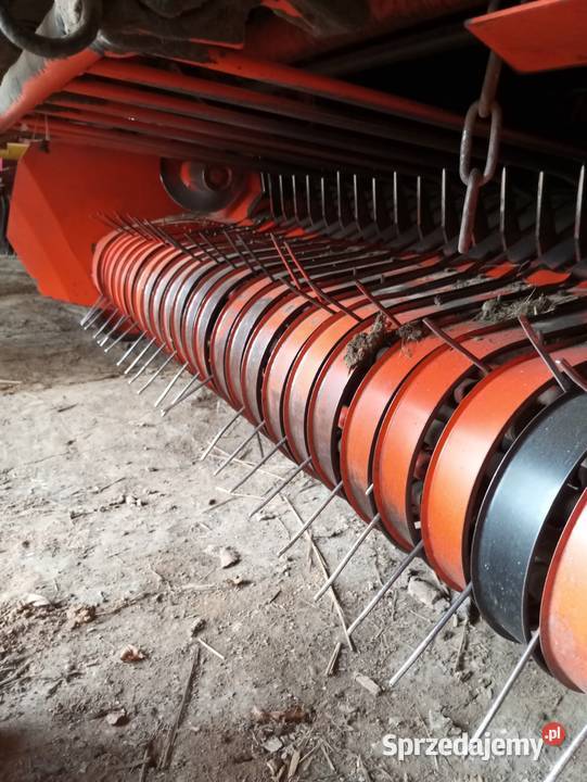 Belownica owijarka Rutkowskie Duże