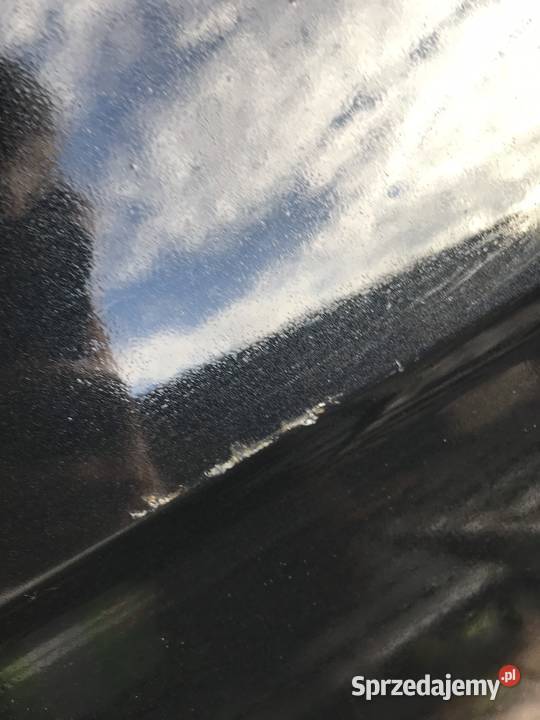 Drzwi Leon III prawy tył Kozy