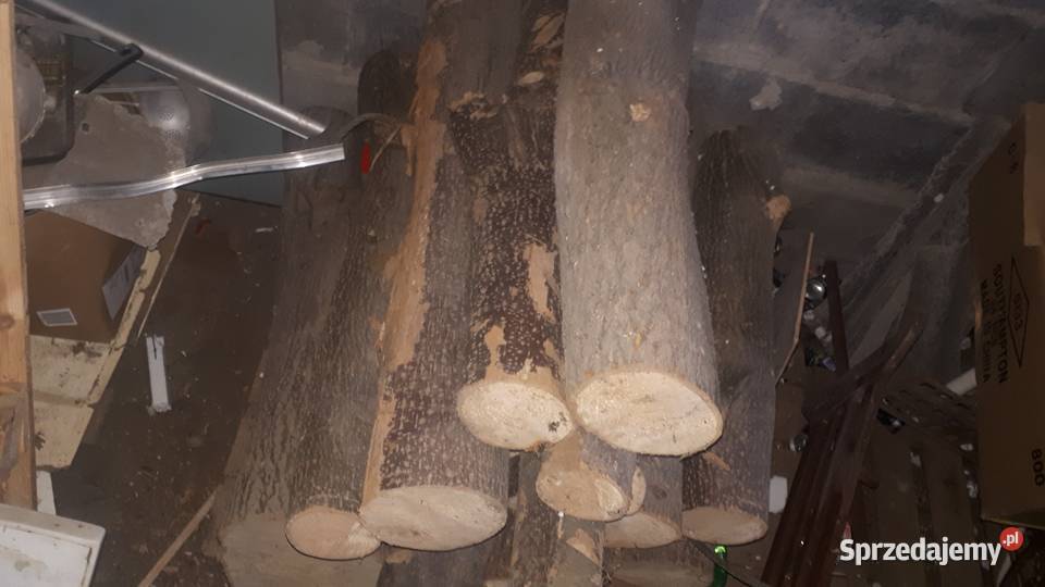 Klocek lipowy na rzeżbę suchy 56 x 17 sprzedam