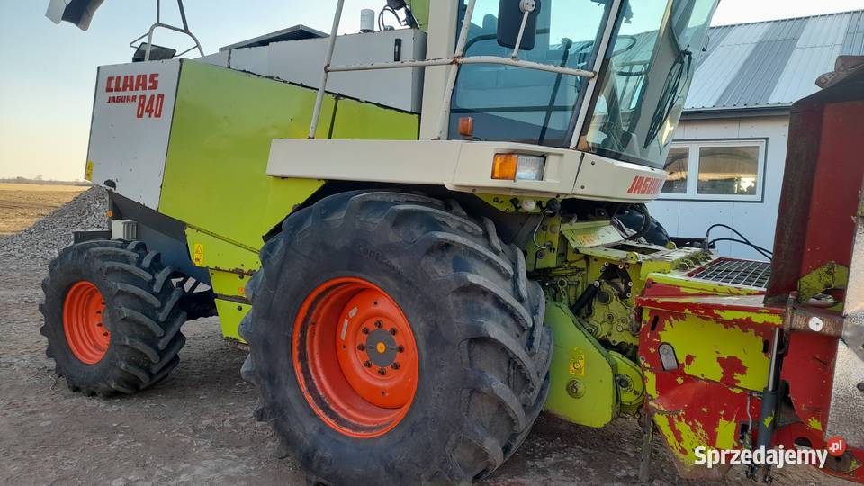 Sieczkarnia Class Jaguar 840 4x4 Heder do Claas Lubień Kujawski