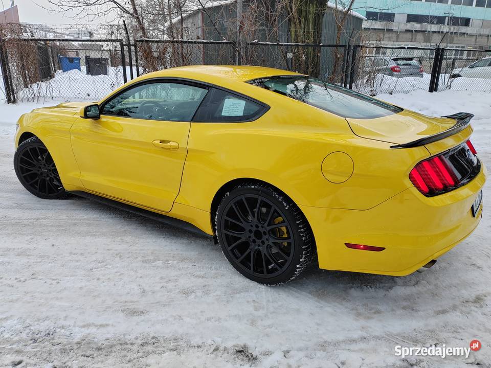 Ford mustang 37 Warszawa