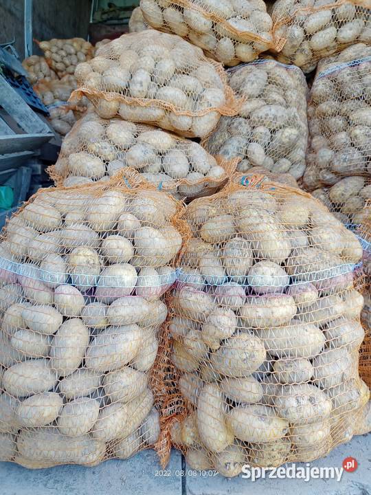 Ziemniaki jadalne Warzywa sprzedam