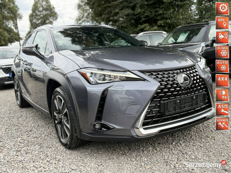 Lexus UX 20 Hybrid Skóra Ful LED Premium isofix