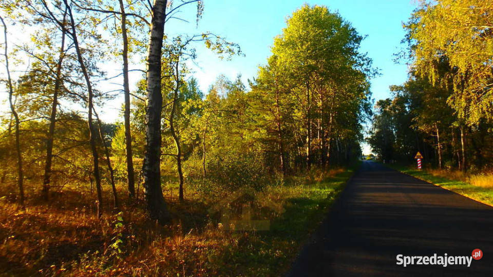 Działka budowlana w Niechnabrzu Niechnabrz