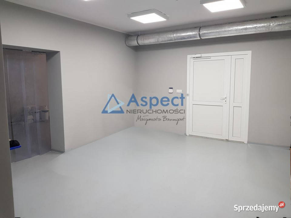 Lokal 271m2 handel usługi produkcja Szczecin