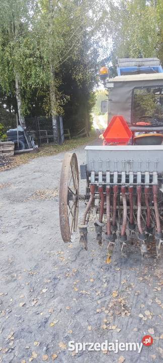 Sprzedam siewnik kony Marynin