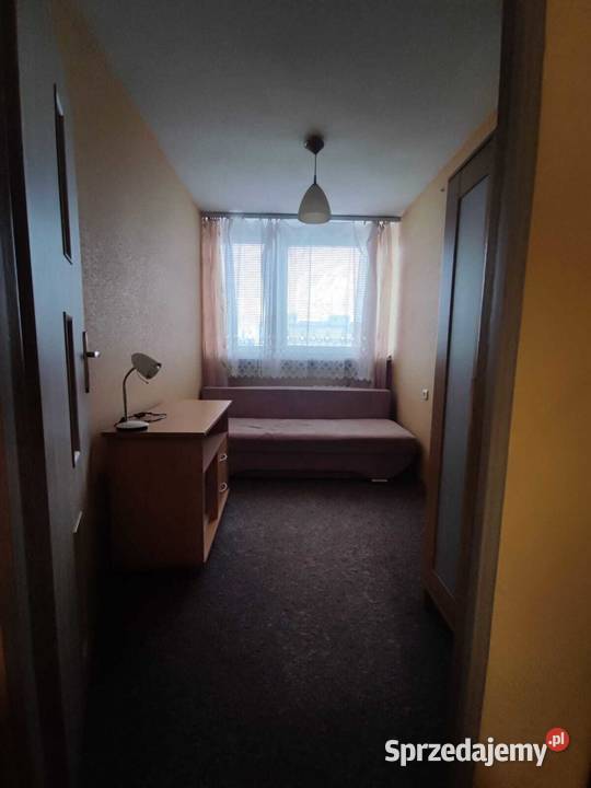 2pok 39met Salezjańskiej PIWNICAWINDA Wrocław Sprzedaż