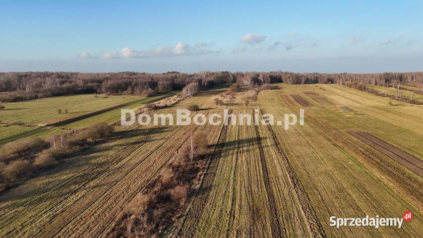 Działka Jodłówka 8587m2