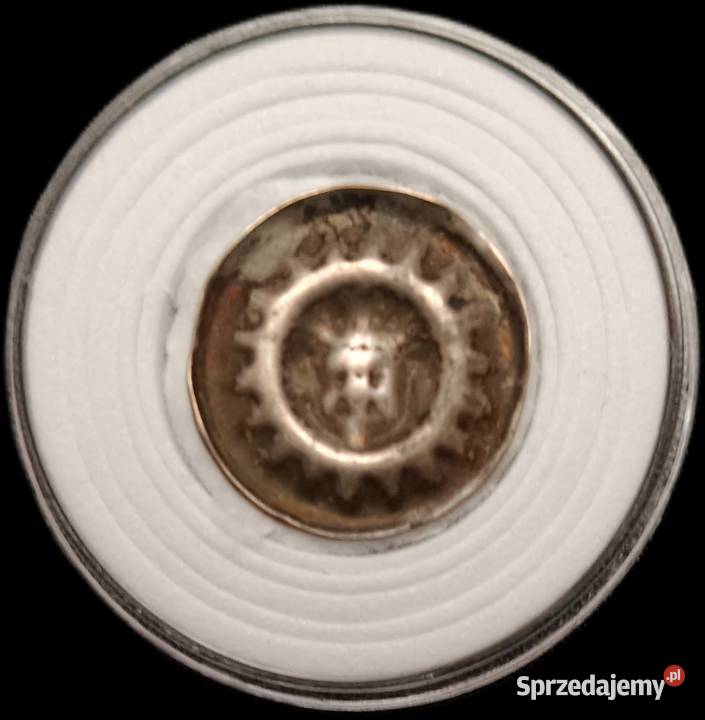 Gryfia XIV w głowa na wprost ukoronowana podkarpackie