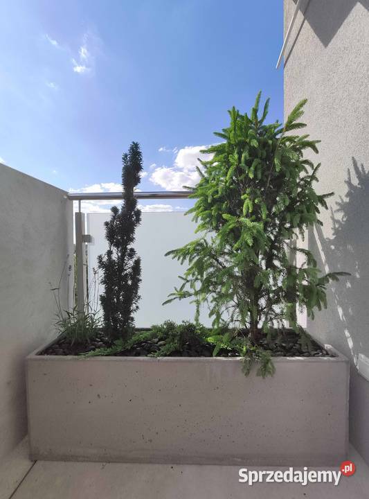 Donica betonowa 120x30x40 Donice betonowe beton wielkopolskie Rawicz