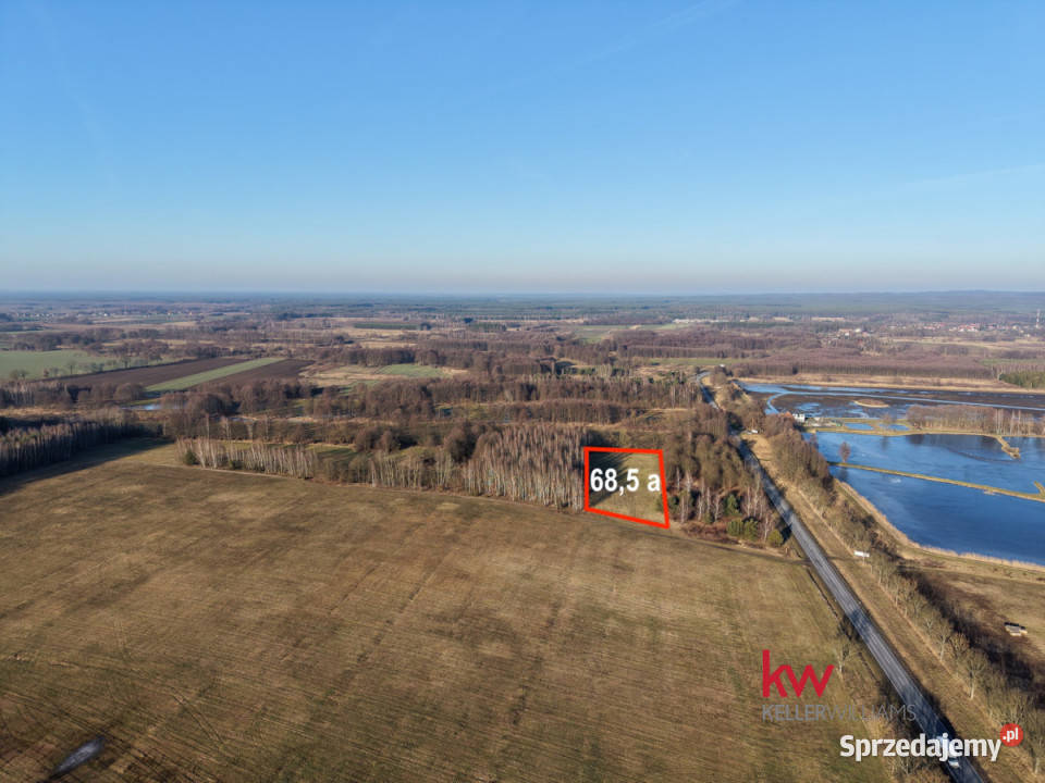 Działka 6850m2 Kuźniczysko 15zł/m2 sprzedam